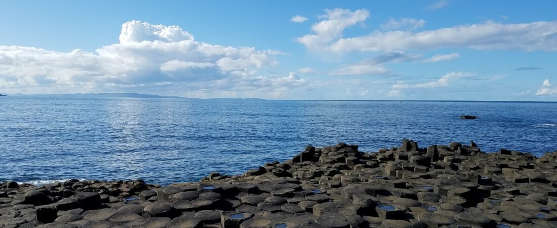 Exploring the Depths of Feral Curiosity: A Glimpse into NyxGrowls