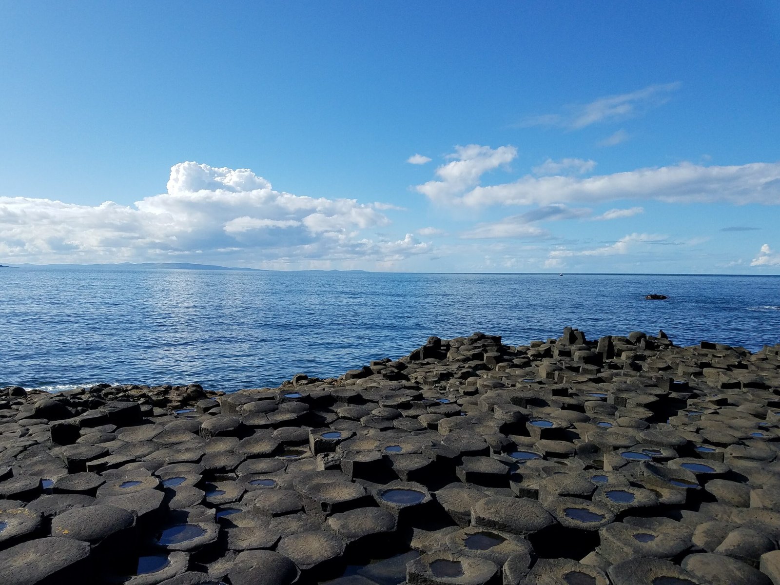 Exploring the Depths of Feral Curiosity: A Glimpse into NyxGrowls