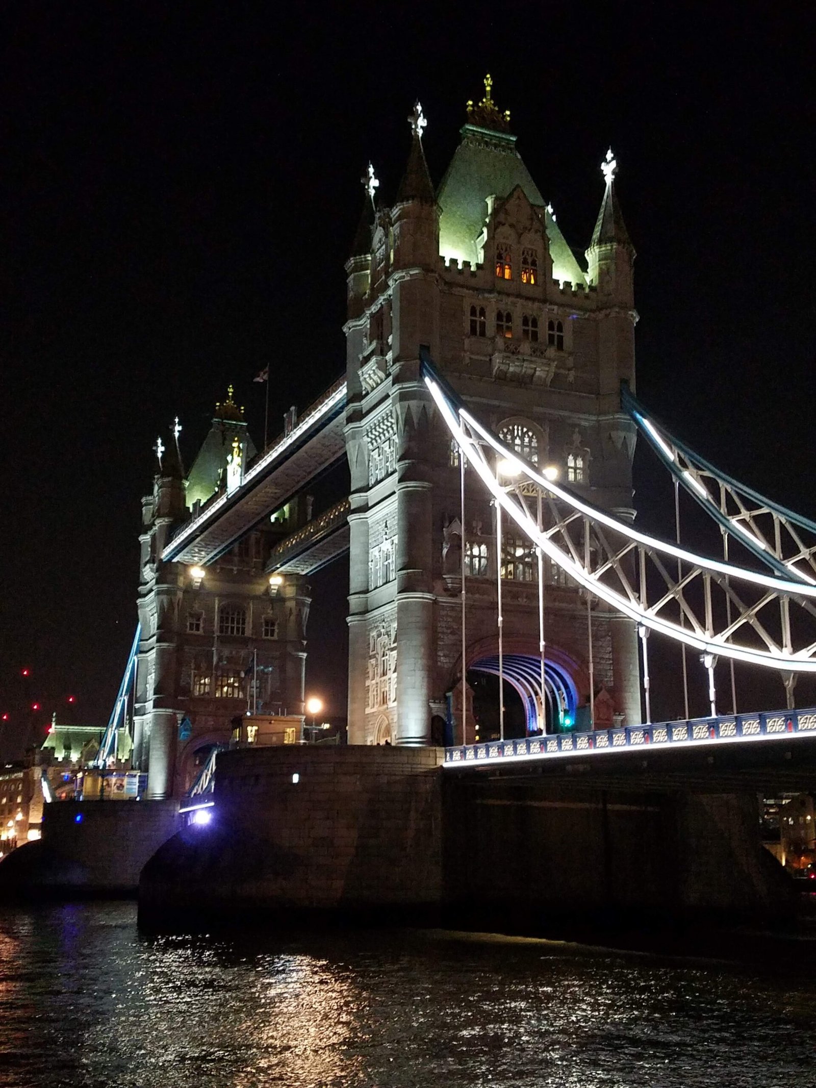 Exploring the Curiosities of Feral Ancestry and Locking Horns with the Dark